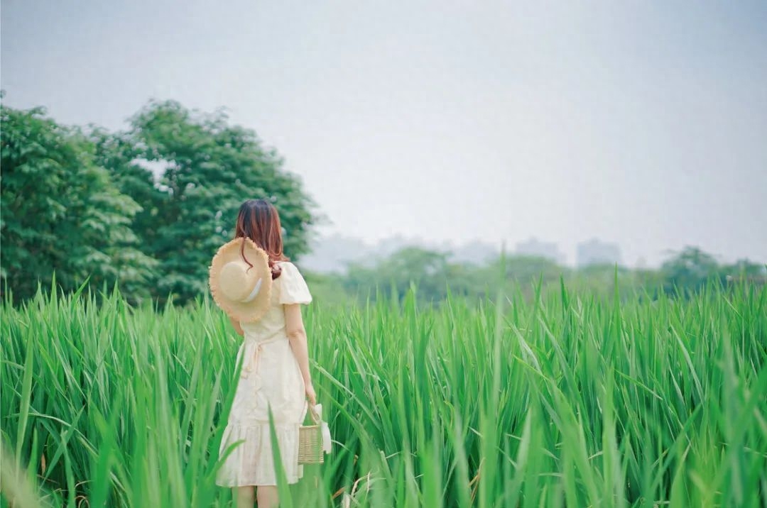 立春：疫去春来，愿所有美好如约而至(图3)