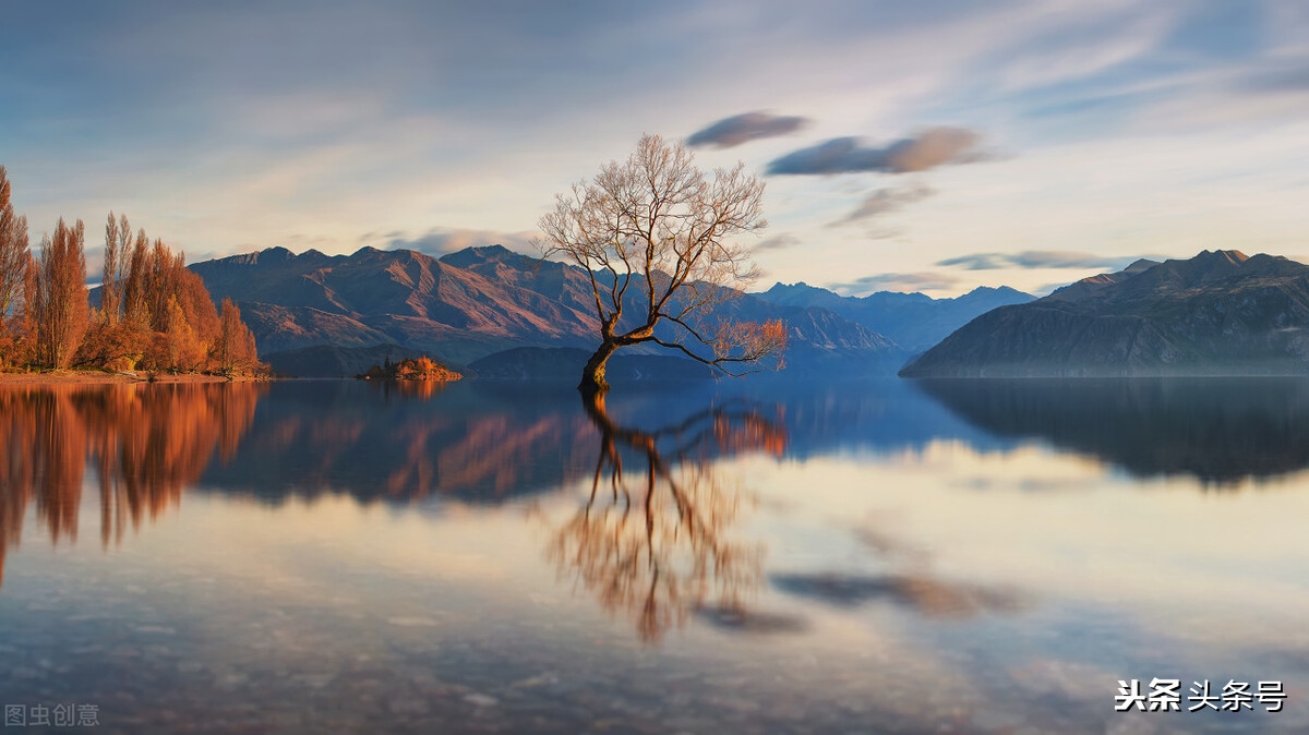 文案书单集锦(图4)