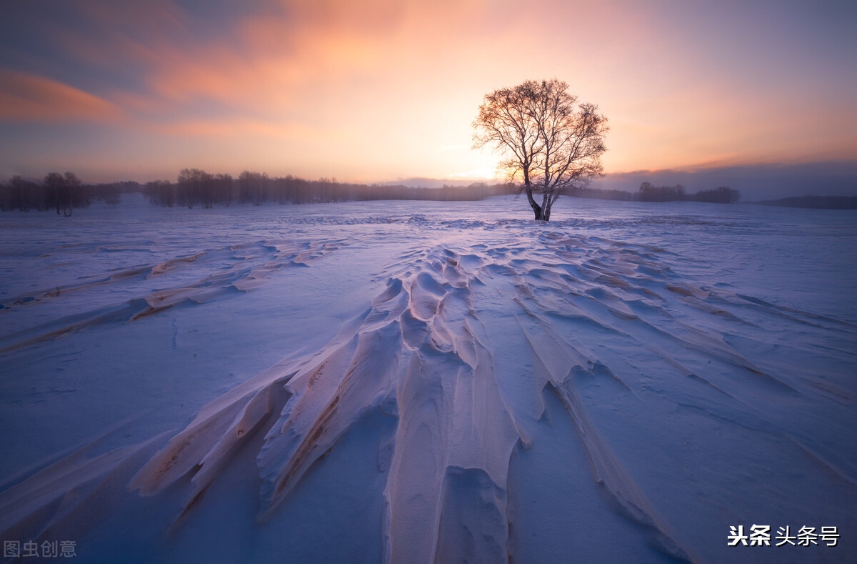 文案书单集锦(图9)