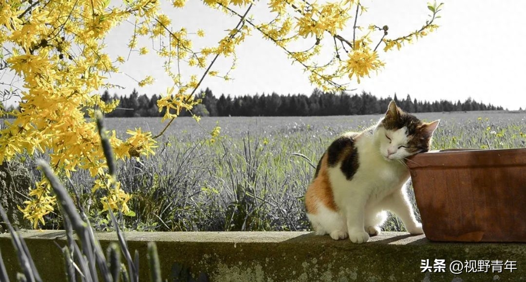 情感文案 | 闺蜜好友聚会时发朋友圈抖音的开心文案(图6)