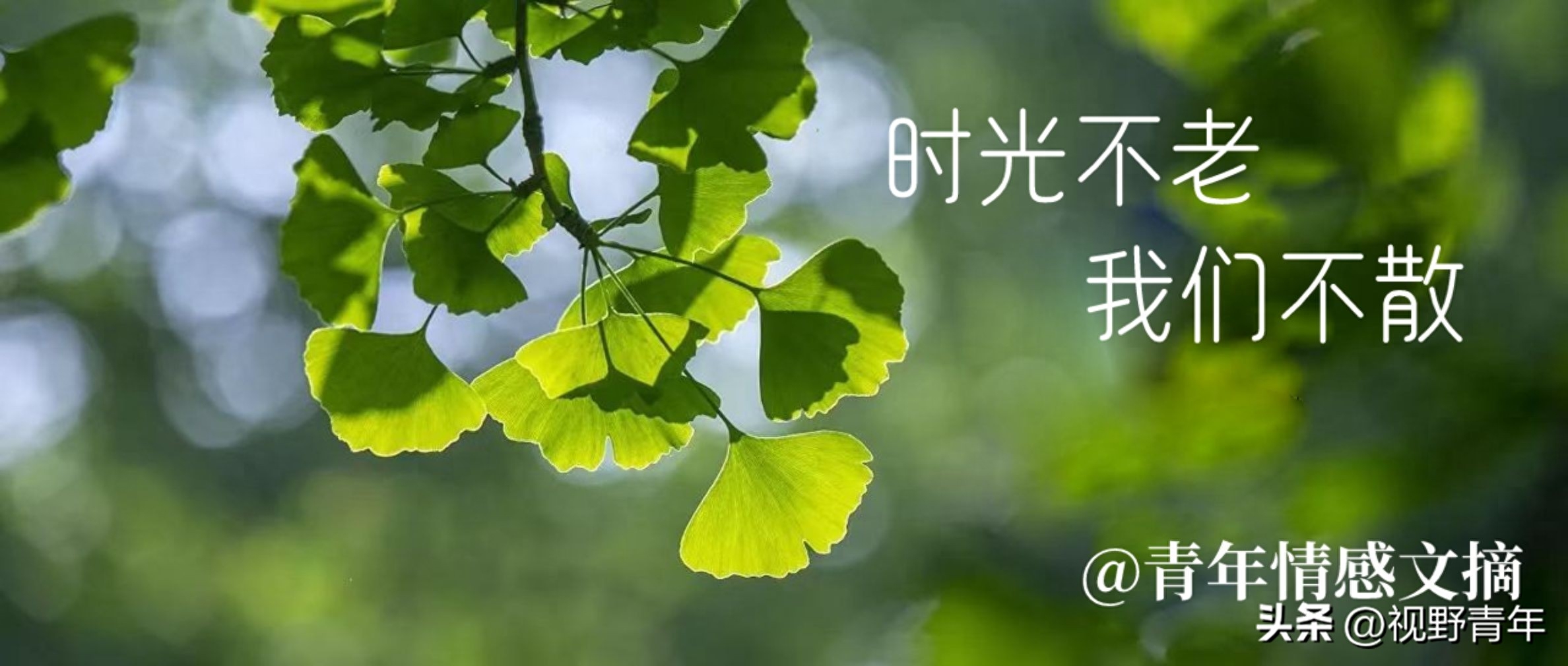 情感文案 | 闺蜜好友聚会时发朋友圈抖音的开心文案(图8)