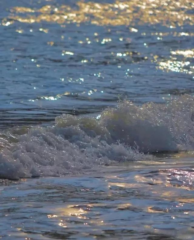 清新治愈的阳光文案，干净文艺短句(图1)