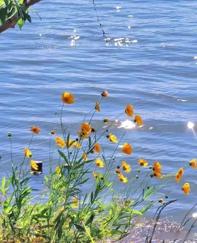 清新治愈的阳光文案，干净文艺短句(图2)