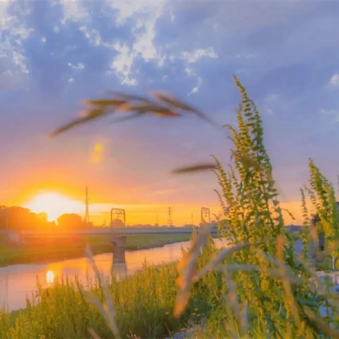 清新治愈的阳光文案，干净文艺短句(图5)