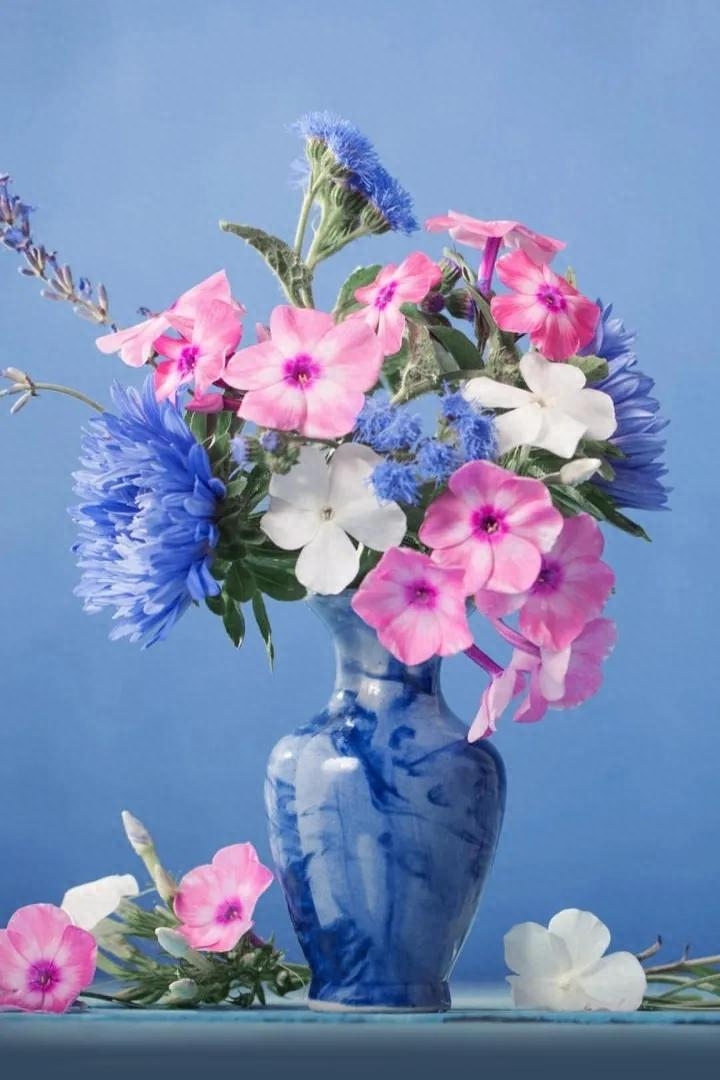 文案｜“最好的时光在路上，⼀路向阳。”文案，唯美，精致，阳光(图1)