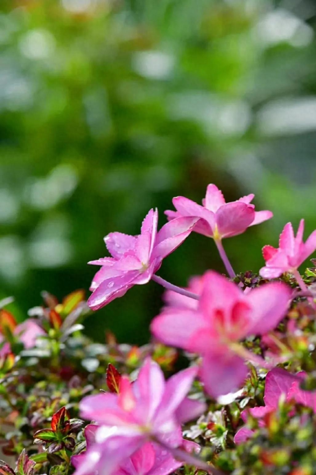 文案｜“最好的时光在路上，⼀路向阳。”文案，唯美，精致，阳光(图3)