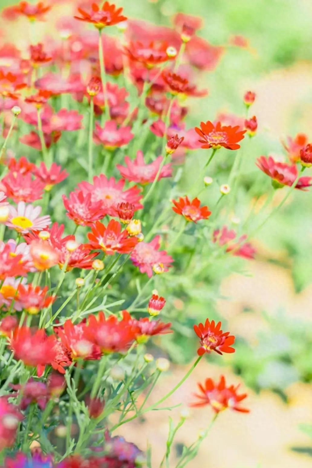 文案｜“最好的时光在路上，⼀路向阳。”文案，唯美，精致，阳光(图4)