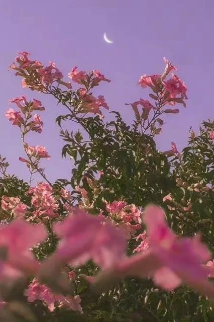 文案｜“最好的时光在路上，⼀路向阳。”文案，唯美，精致，阳光(图5)