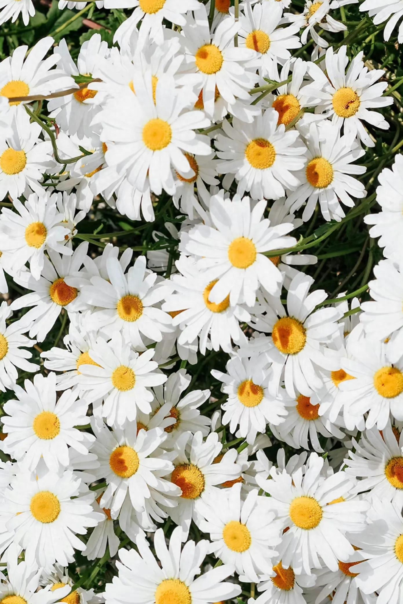 文案｜“最好的时光在路上，⼀路向阳。”文案，唯美，精致，阳光(图6)