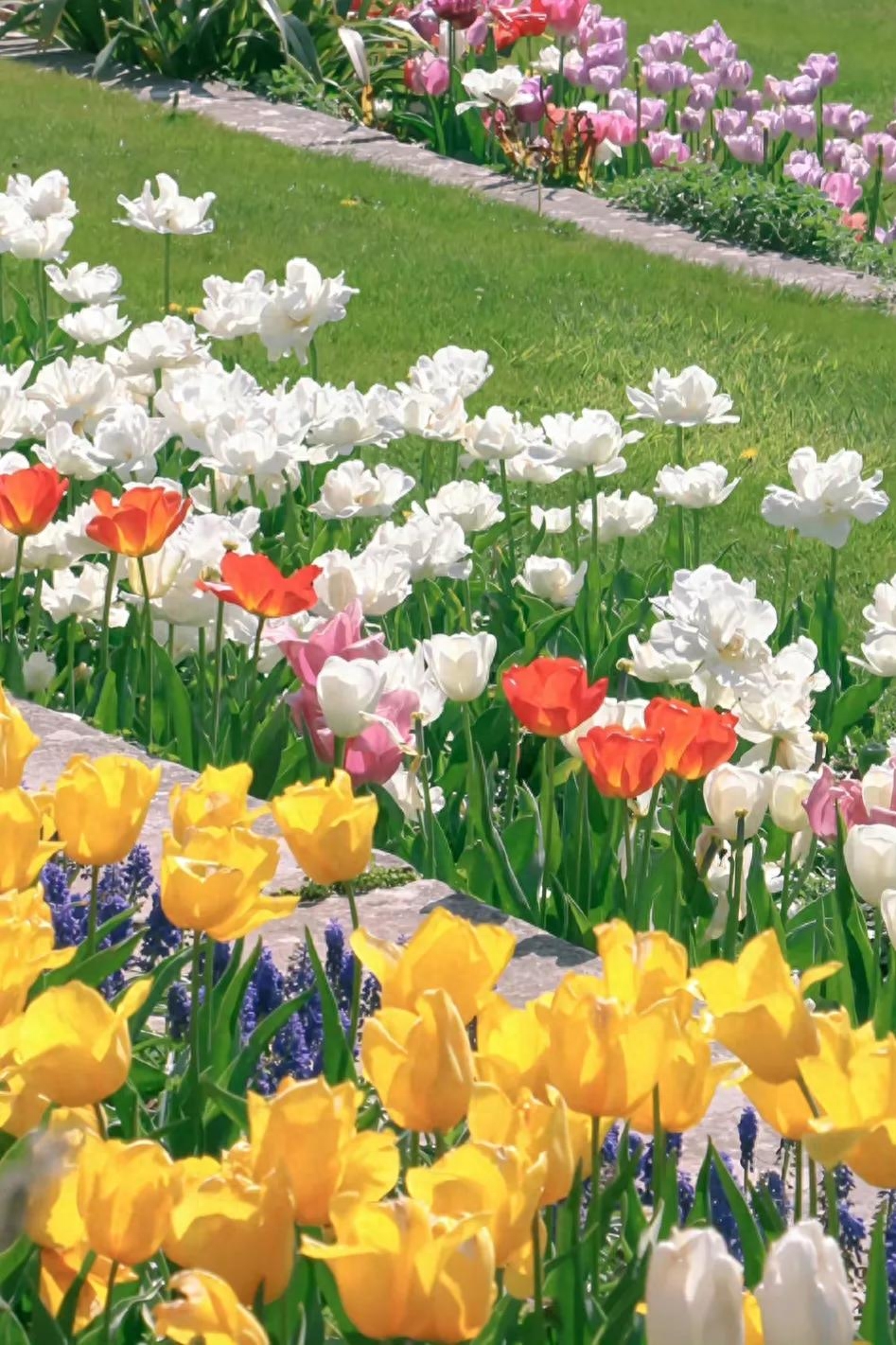 文案｜“最好的时光在路上，⼀路向阳。”文案，唯美，精致，阳光(图7)