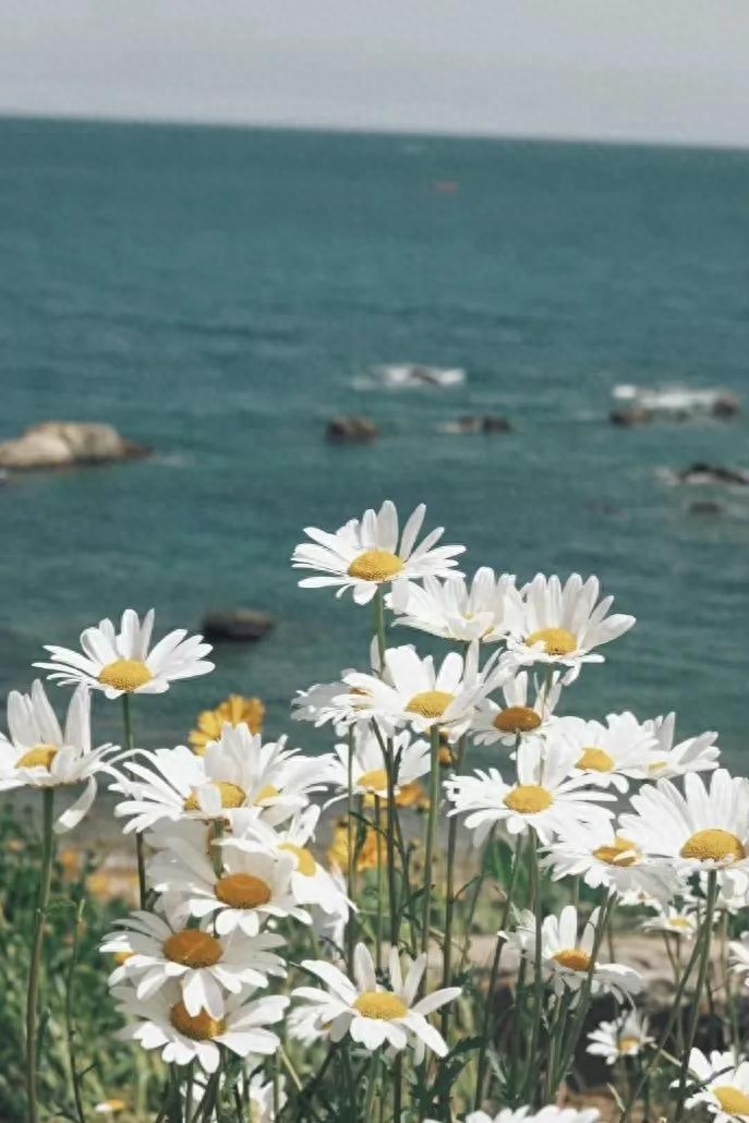 文案｜“最好的时光在路上，⼀路向阳。”文案，唯美，精致，阳光(图9)