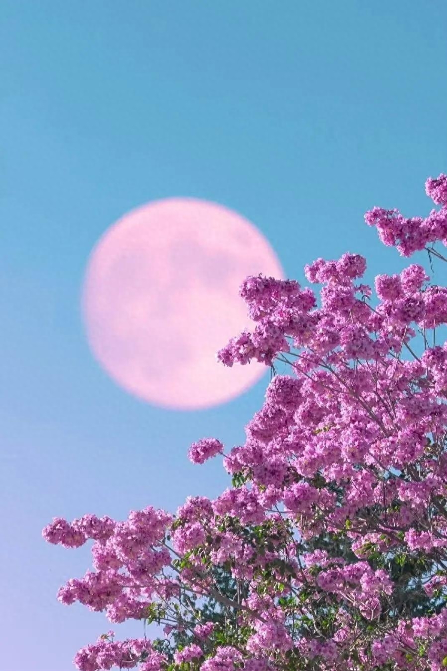 文案｜“最好的时光在路上，⼀路向阳。”文案，唯美，精致，阳光(图12)