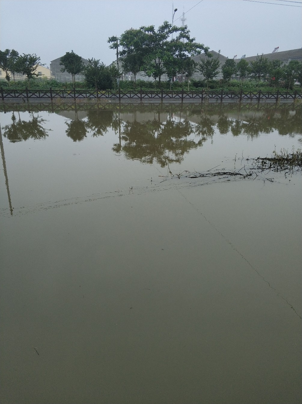 野钓之路其难兮，踏破铁鞋无数双，但也其乐无比(图2)