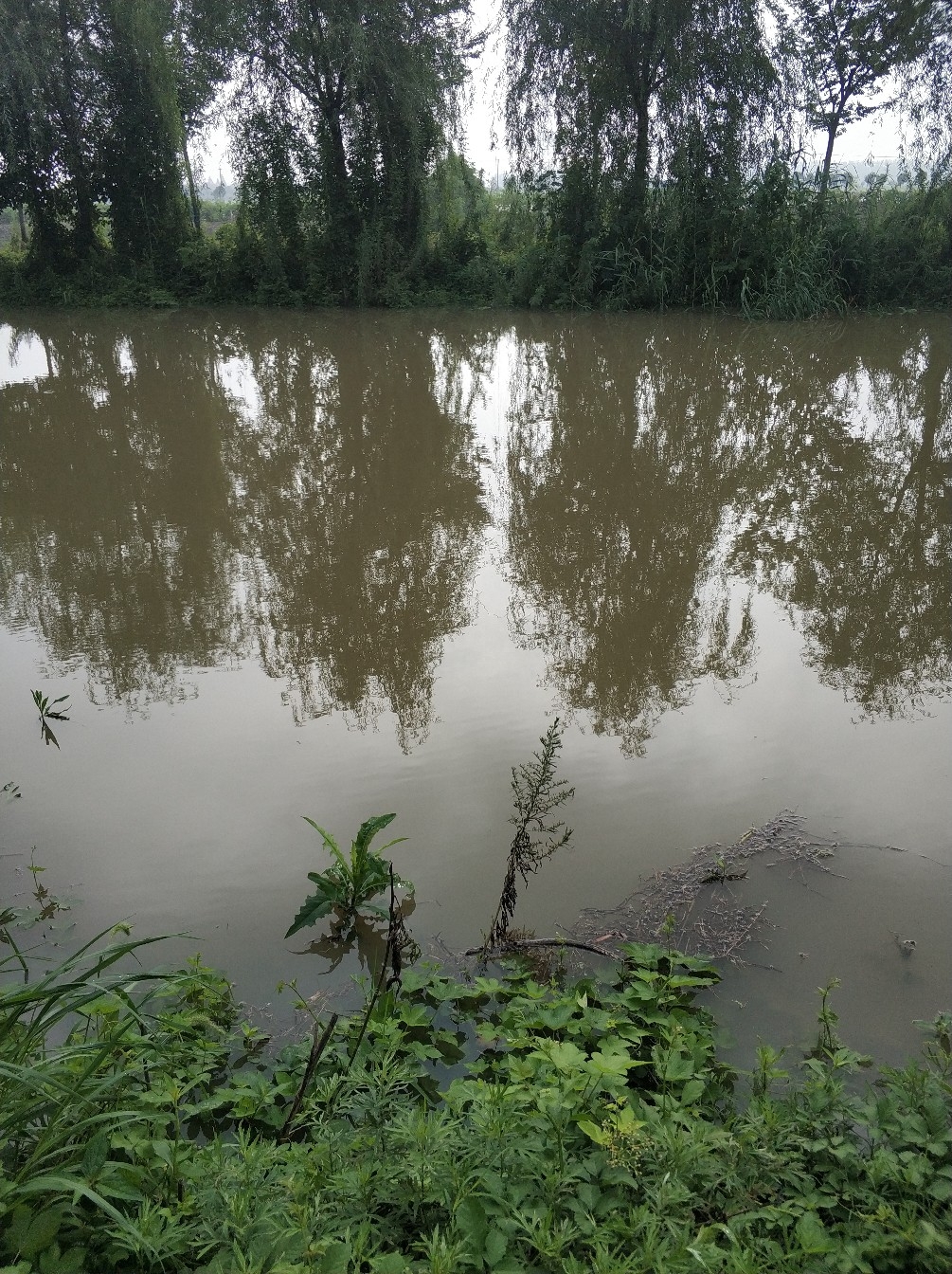 野钓之路其难兮，踏破铁鞋无数双，但也其乐无比(图5)