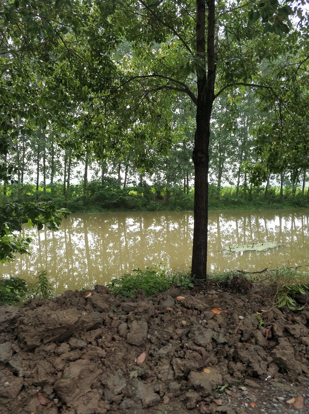 野钓之路其难兮，踏破铁鞋无数双，但也其乐无比(图6)