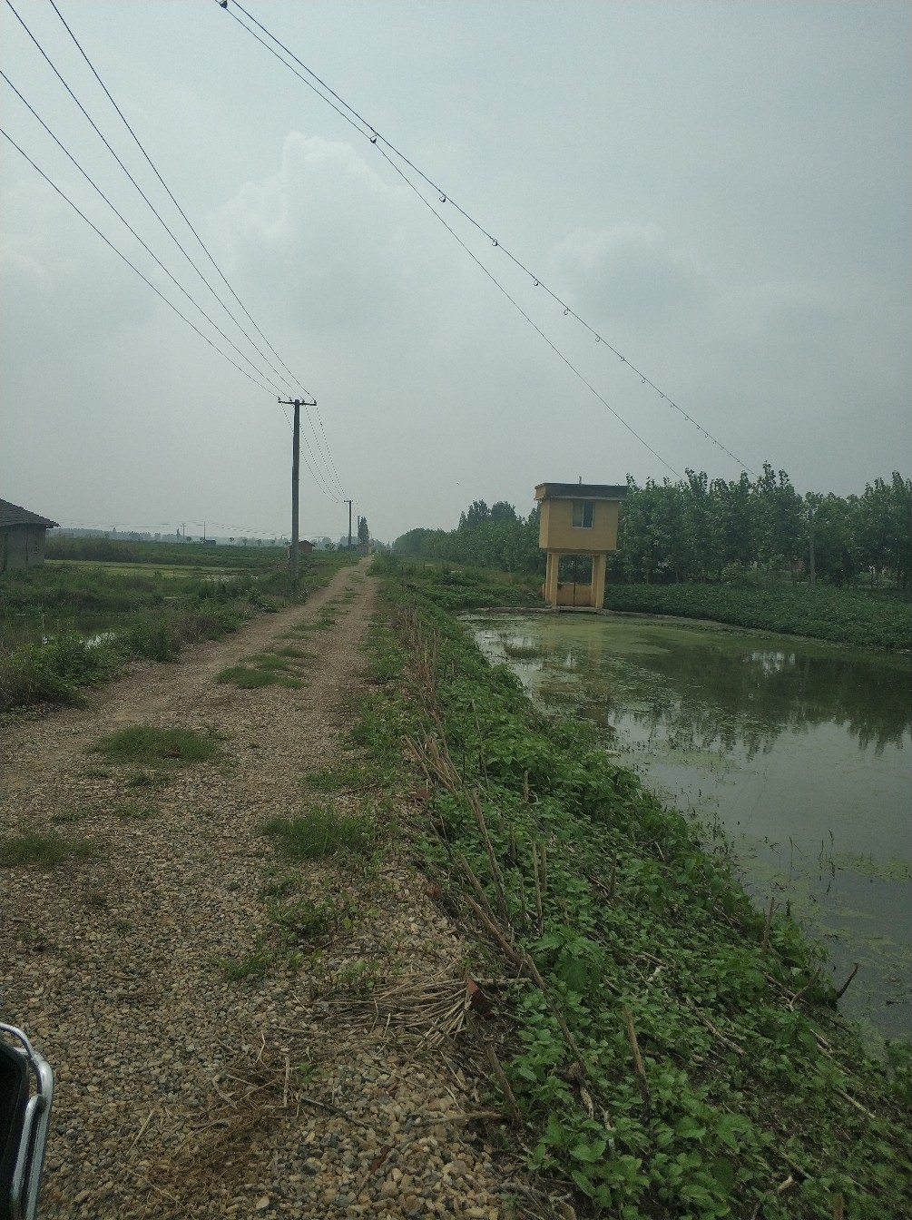 野钓之路其难兮，踏破铁鞋无数双，但也其乐无比(图9)