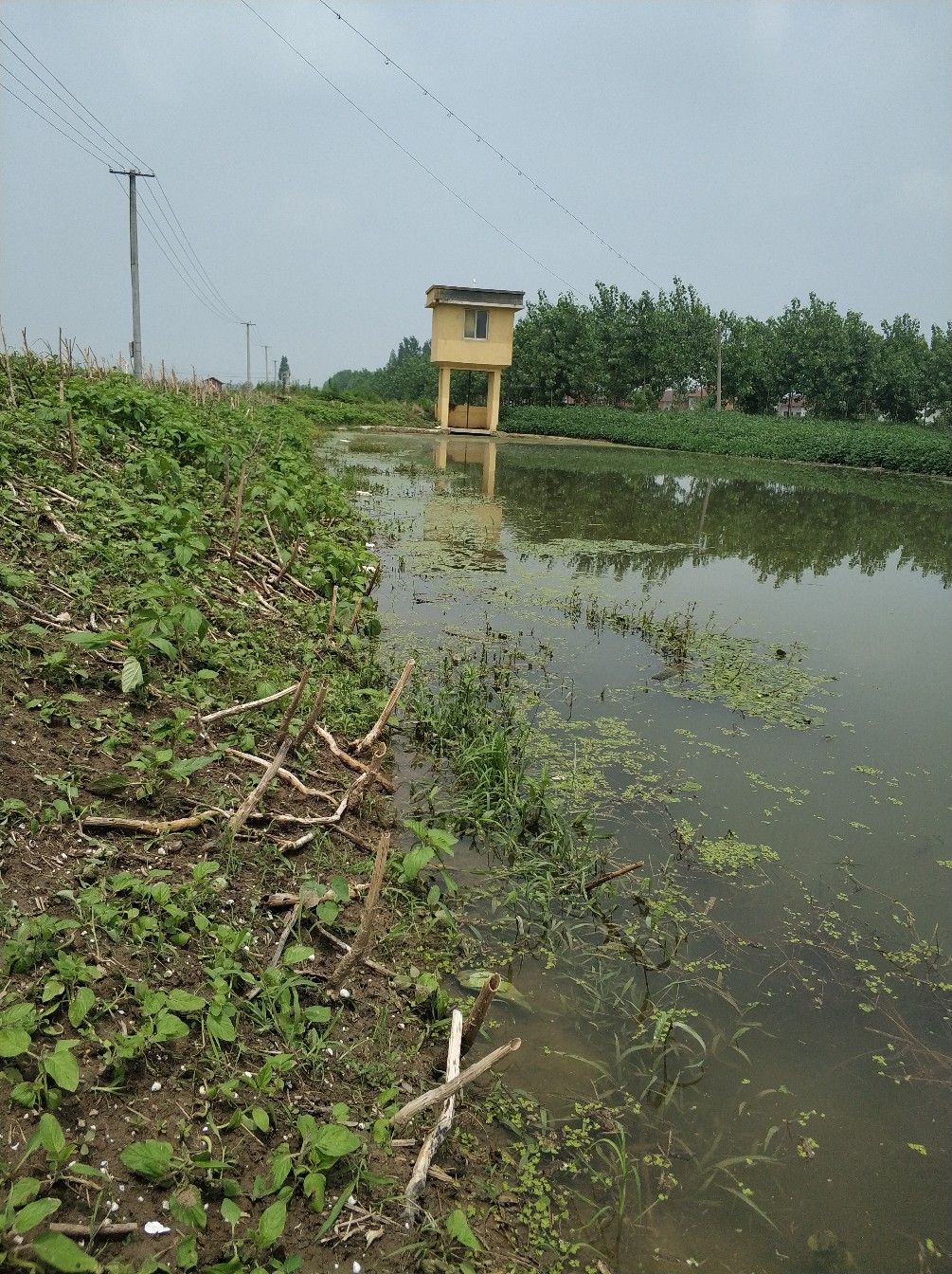 野钓之路其难兮，踏破铁鞋无数双，但也其乐无比(图10)