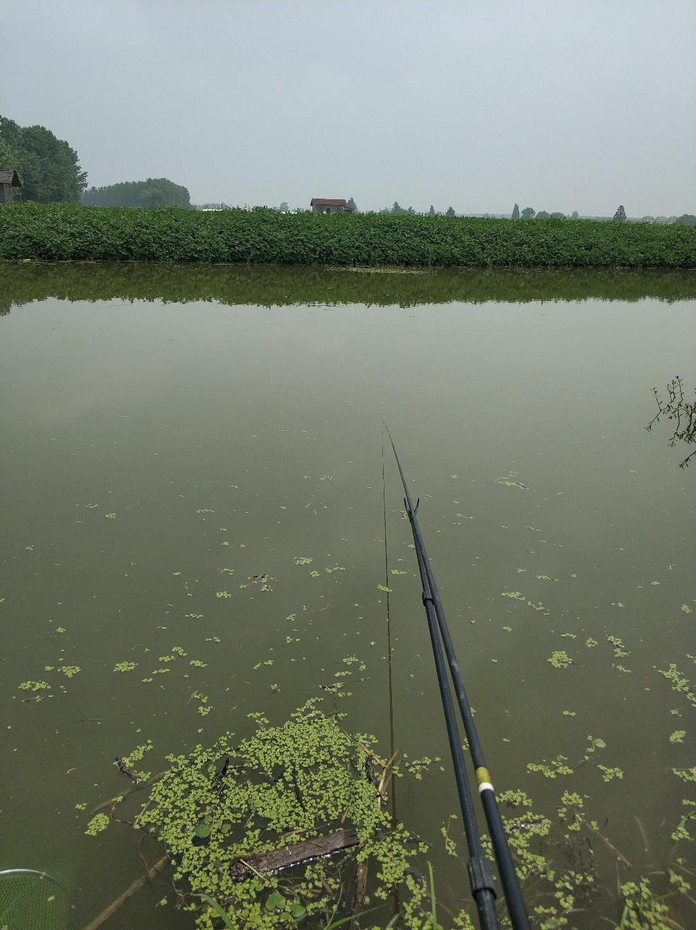 野钓之路其难兮，踏破铁鞋无数双，但也其乐无比(图11)