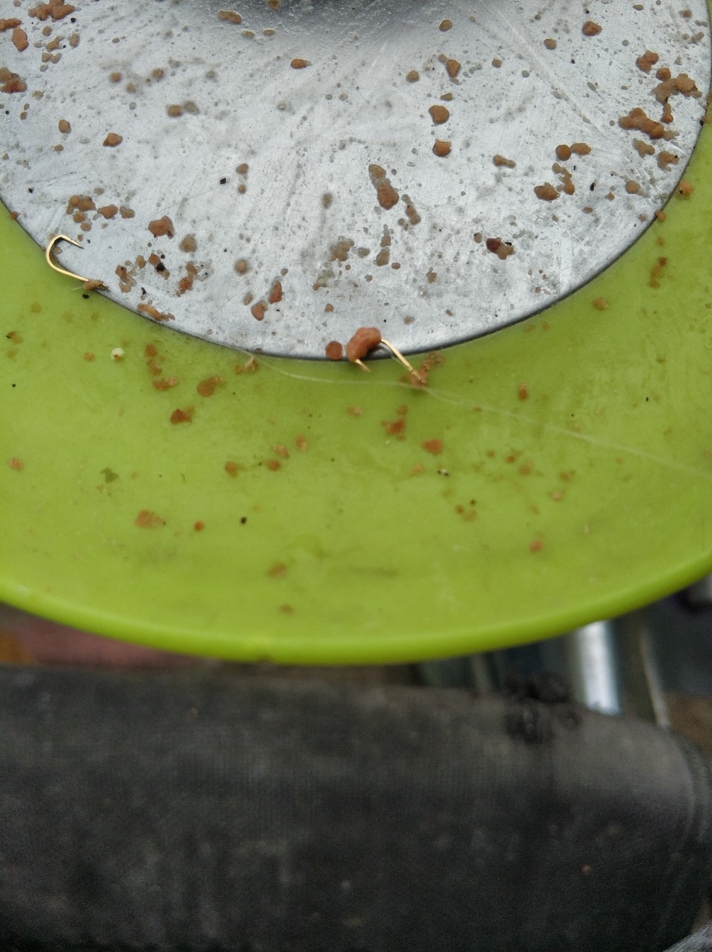 野钓之路其难兮，踏破铁鞋无数双，但也其乐无比(图12)