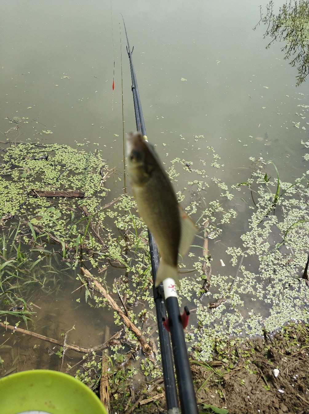 野钓之路其难兮，踏破铁鞋无数双，但也其乐无比(图15)