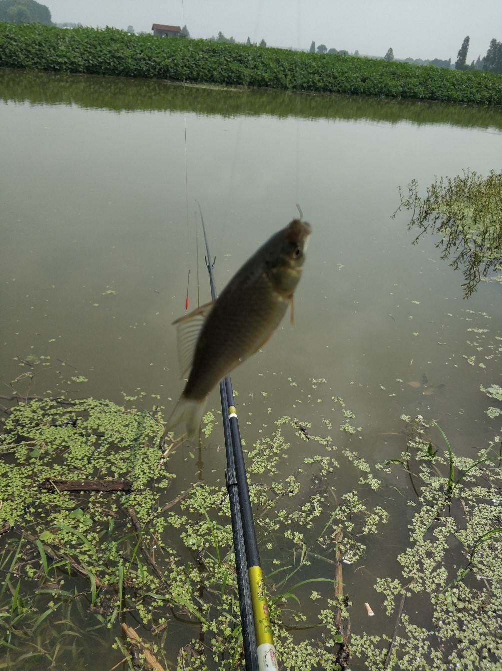 野钓之路其难兮，踏破铁鞋无数双，但也其乐无比(图16)