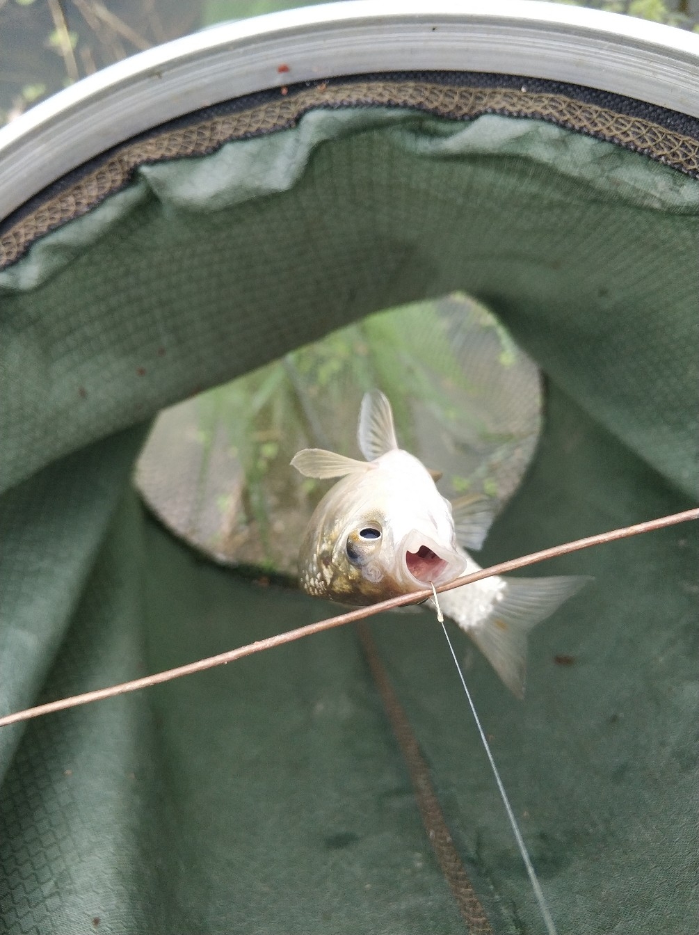 野钓之路其难兮，踏破铁鞋无数双，但也其乐无比(图22)