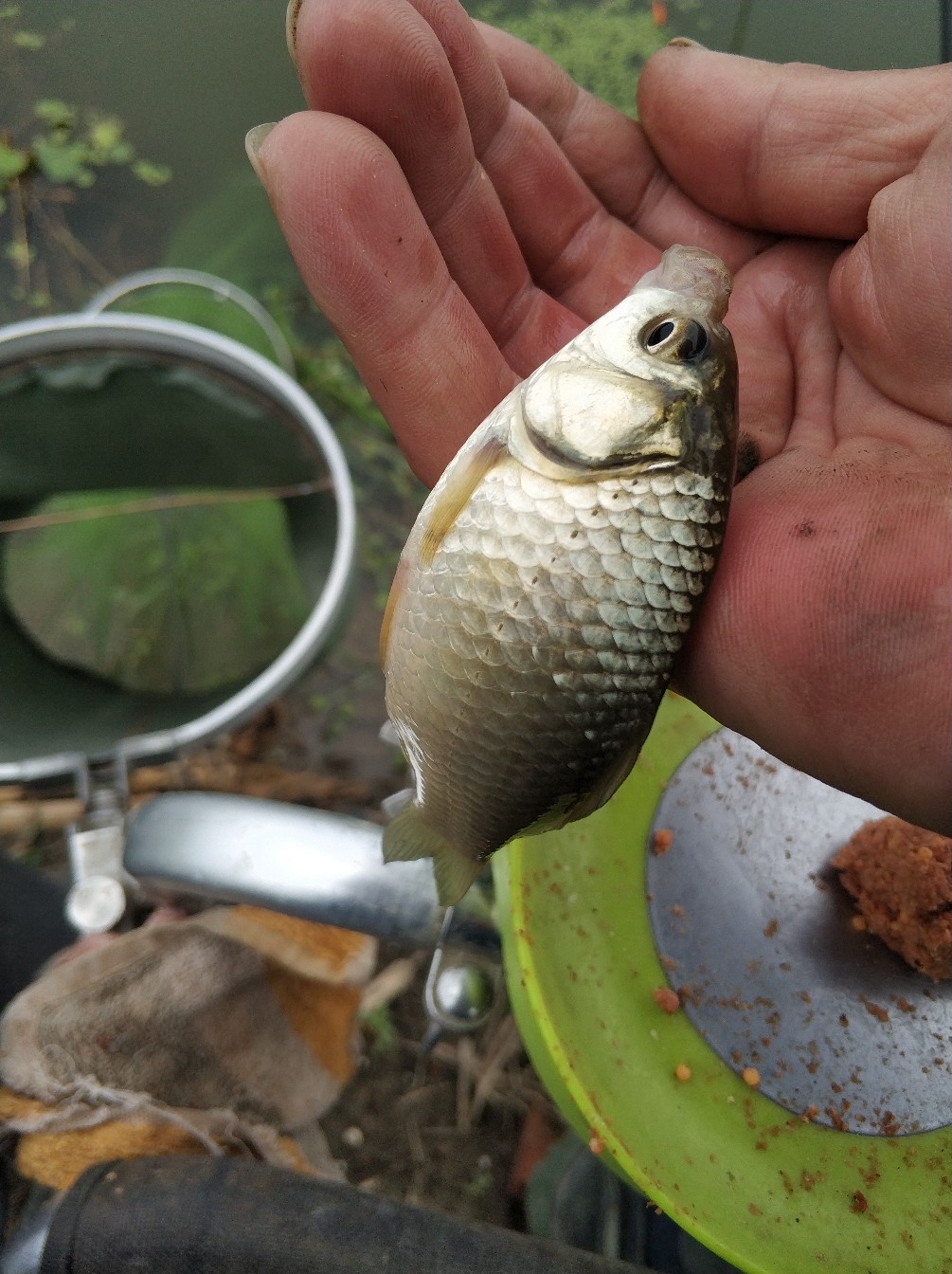 野钓之路其难兮，踏破铁鞋无数双，但也其乐无比(图23)