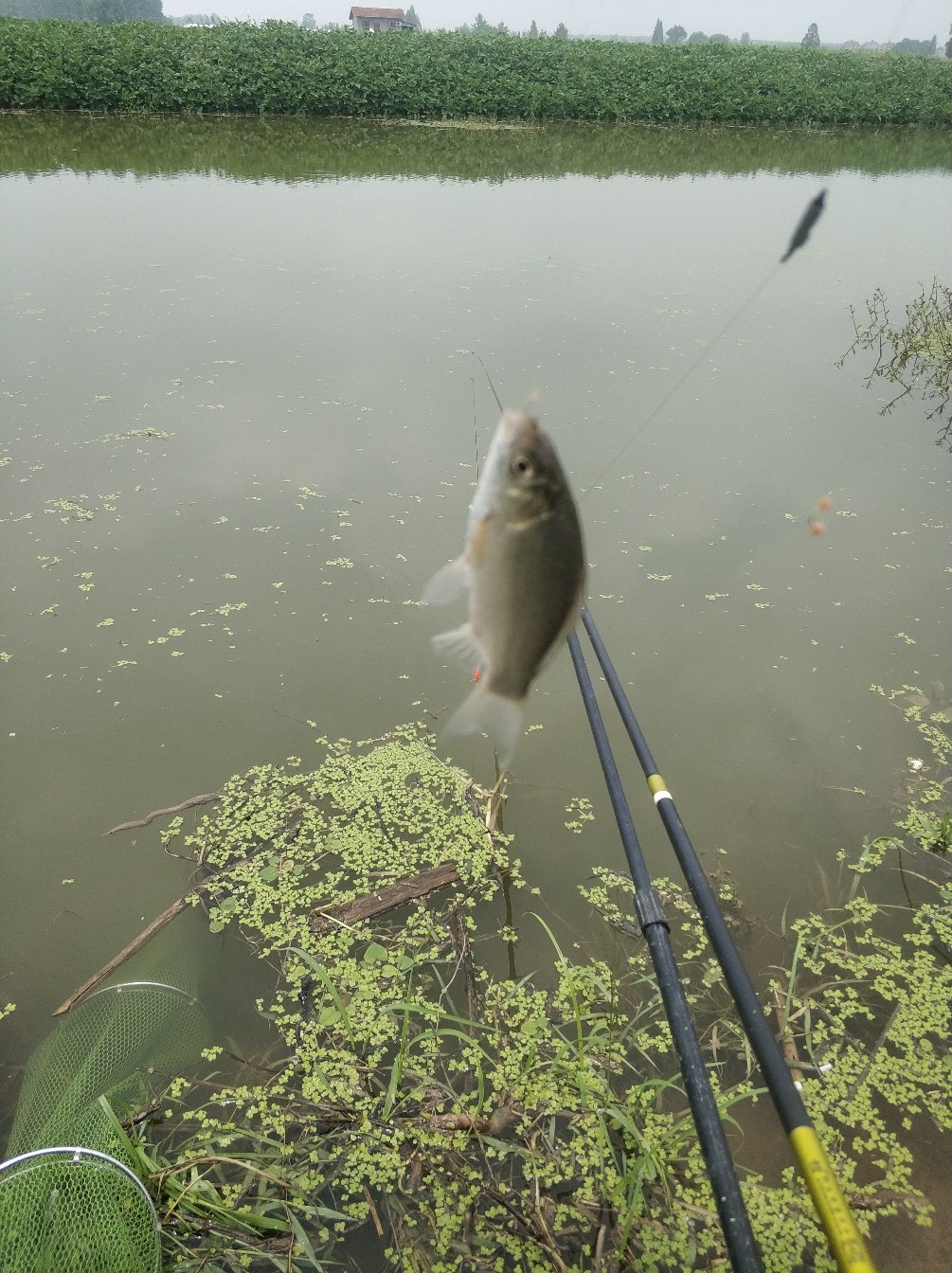 野钓之路其难兮，踏破铁鞋无数双，但也其乐无比(图24)