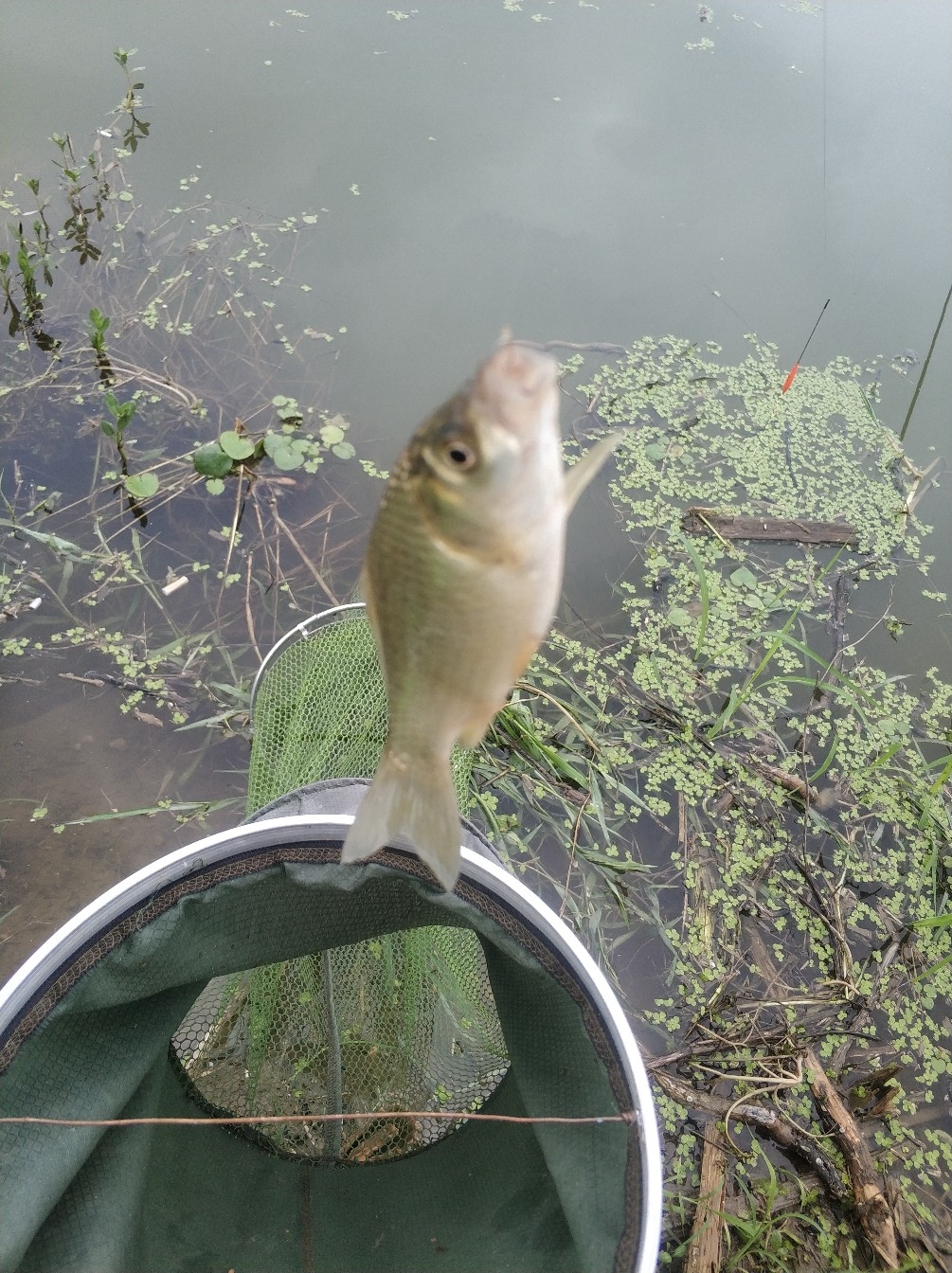 野钓之路其难兮，踏破铁鞋无数双，但也其乐无比(图26)