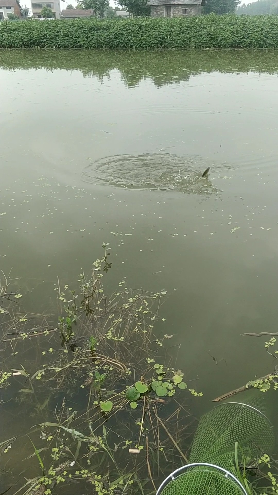 野钓之路其难兮，踏破铁鞋无数双，但也其乐无比(图29)