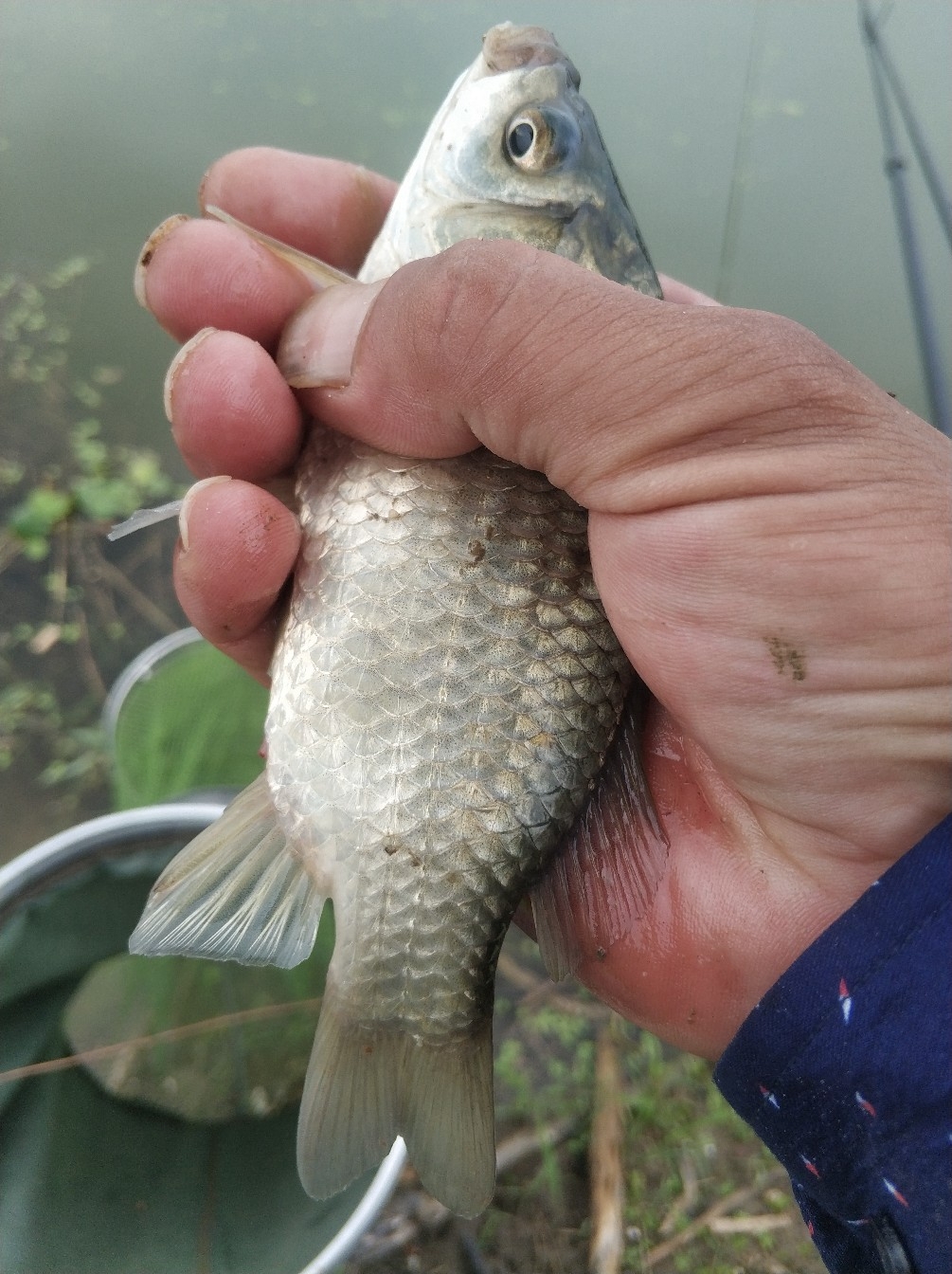 野钓之路其难兮，踏破铁鞋无数双，但也其乐无比(图32)