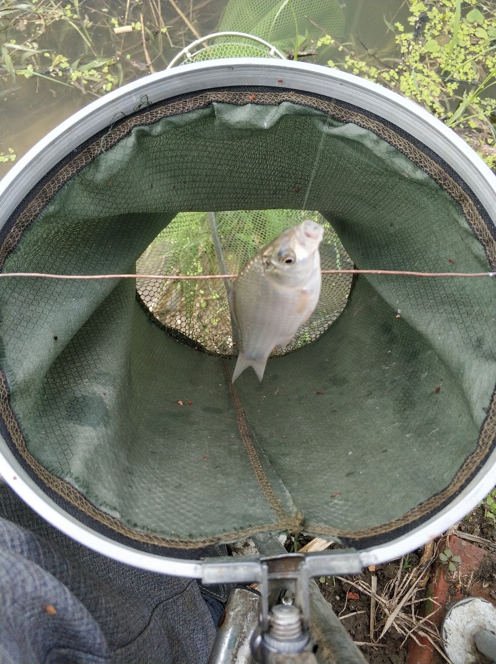 野钓之路其难兮，踏破铁鞋无数双，但也其乐无比(图33)