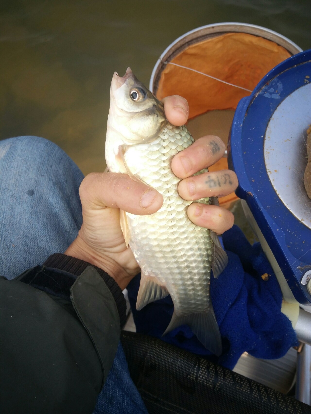 水库钓鱼记，守得云开见月明(图8)