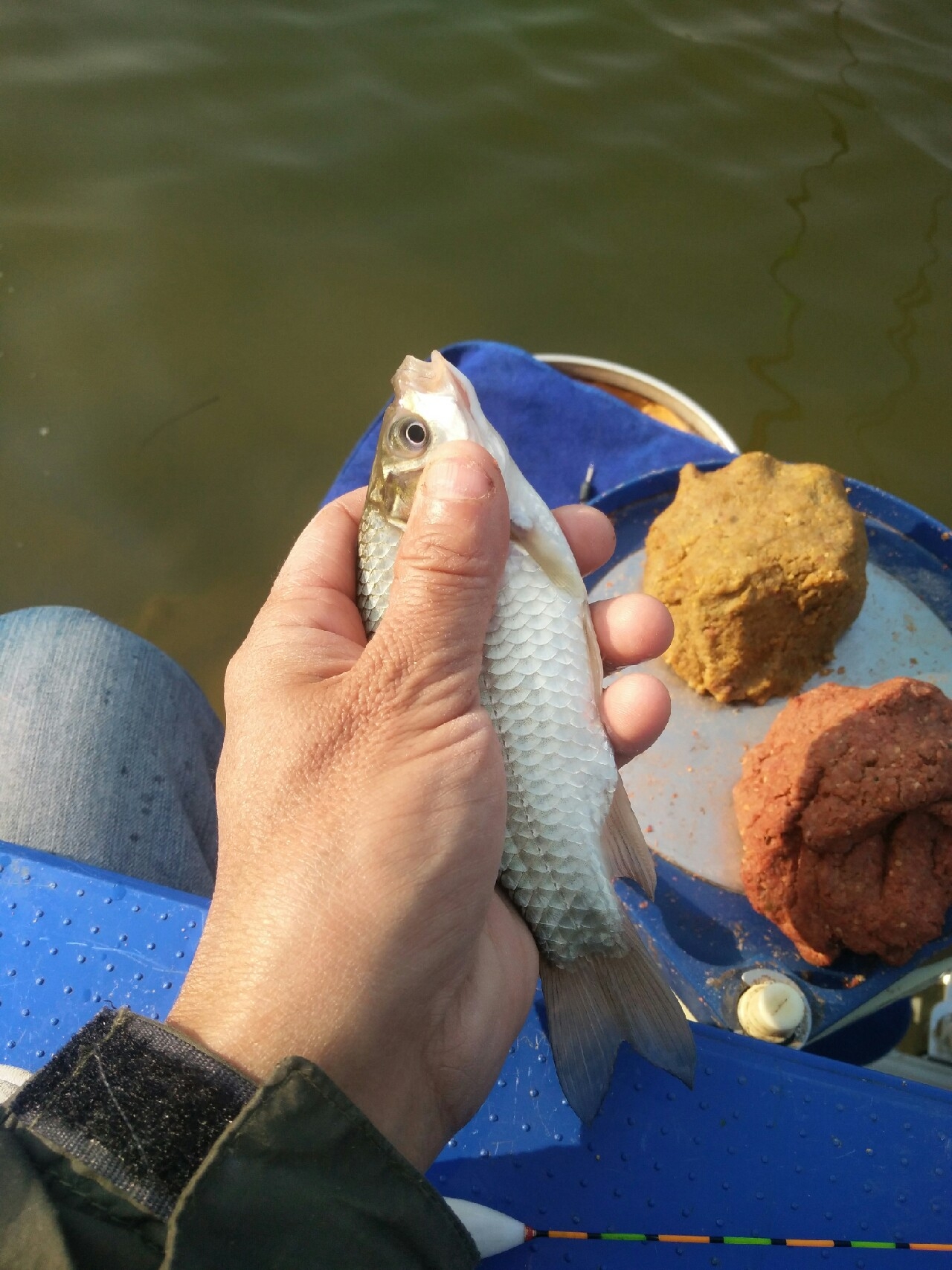 水库钓鱼记，守得云开见月明(图11)