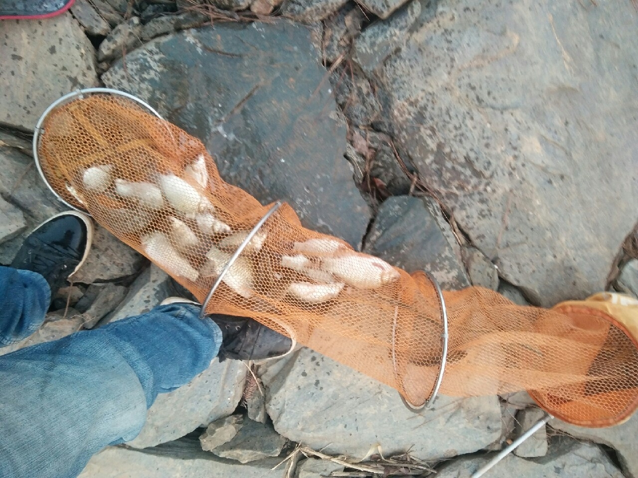 水库钓鱼记，守得云开见月明(图13)