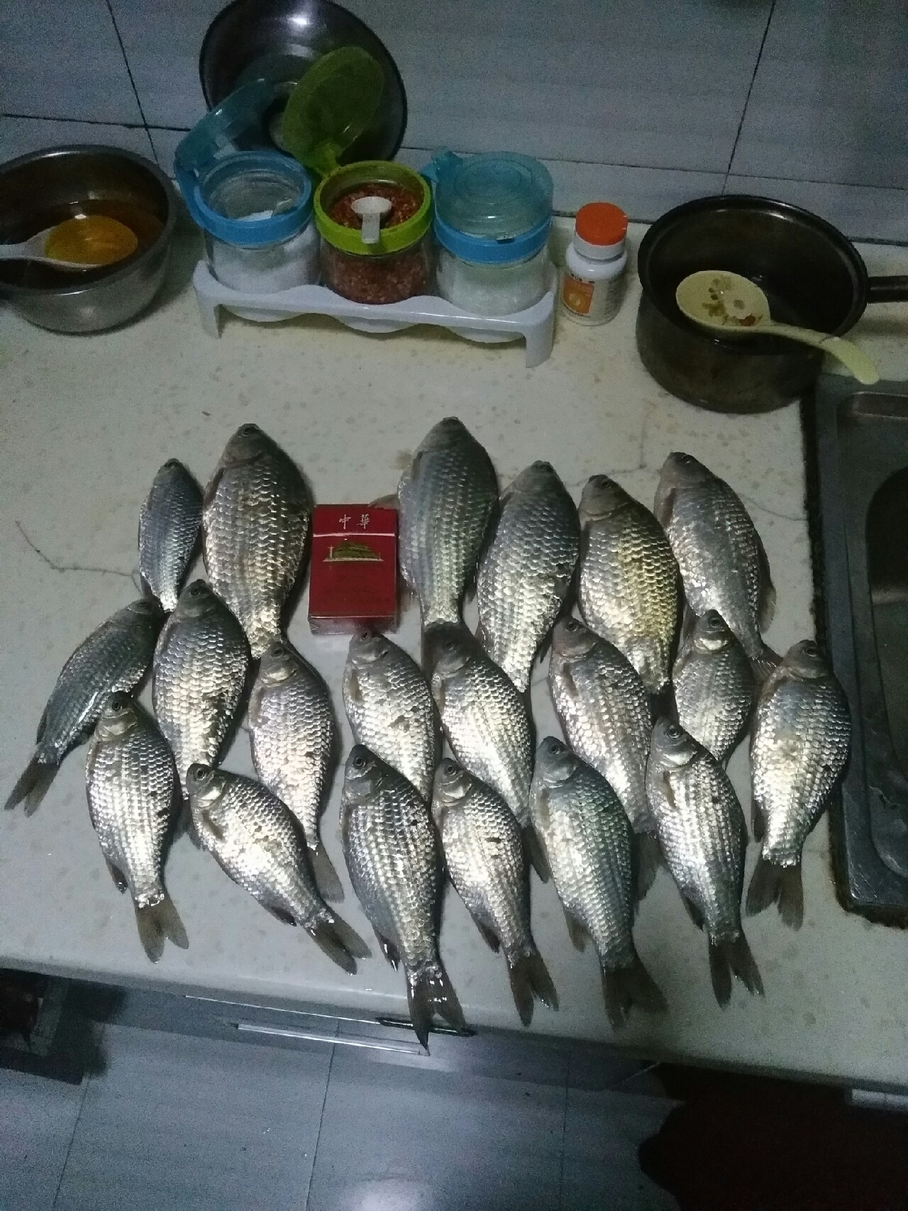 水库钓鱼记，守得云开见月明(图16)