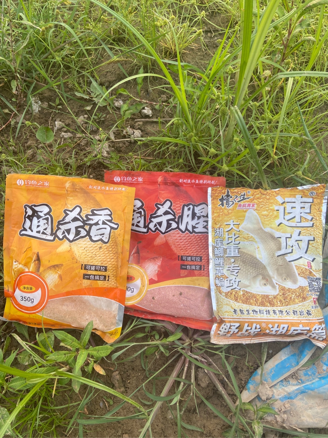 通杀香腥来擒鲫，高温天气莫恋战(图2)