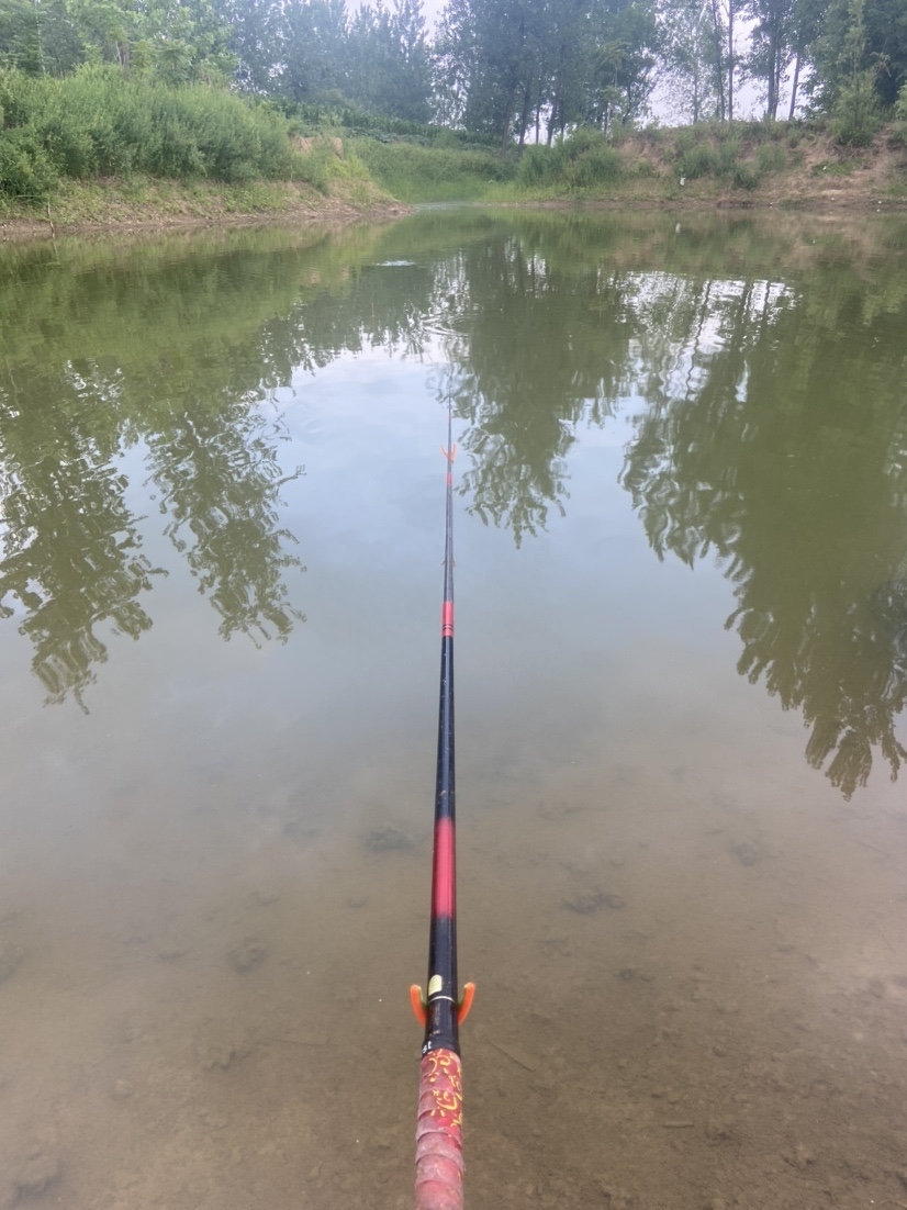 通杀香腥来擒鲫，高温天气莫恋战(图3)