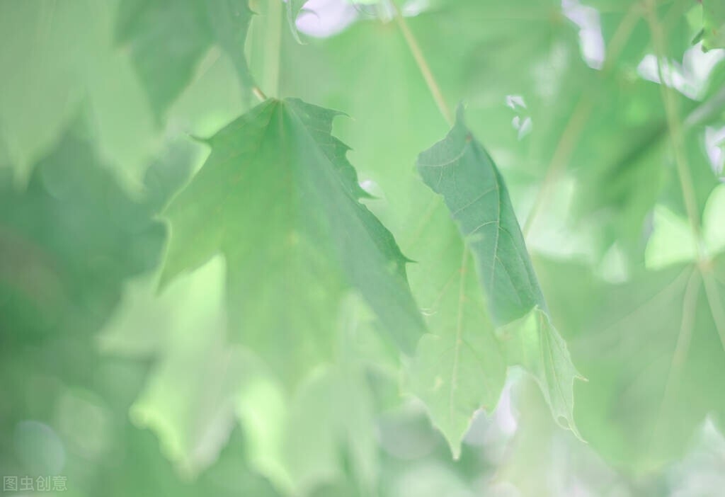 特别丧的朋友圈文案(图5)