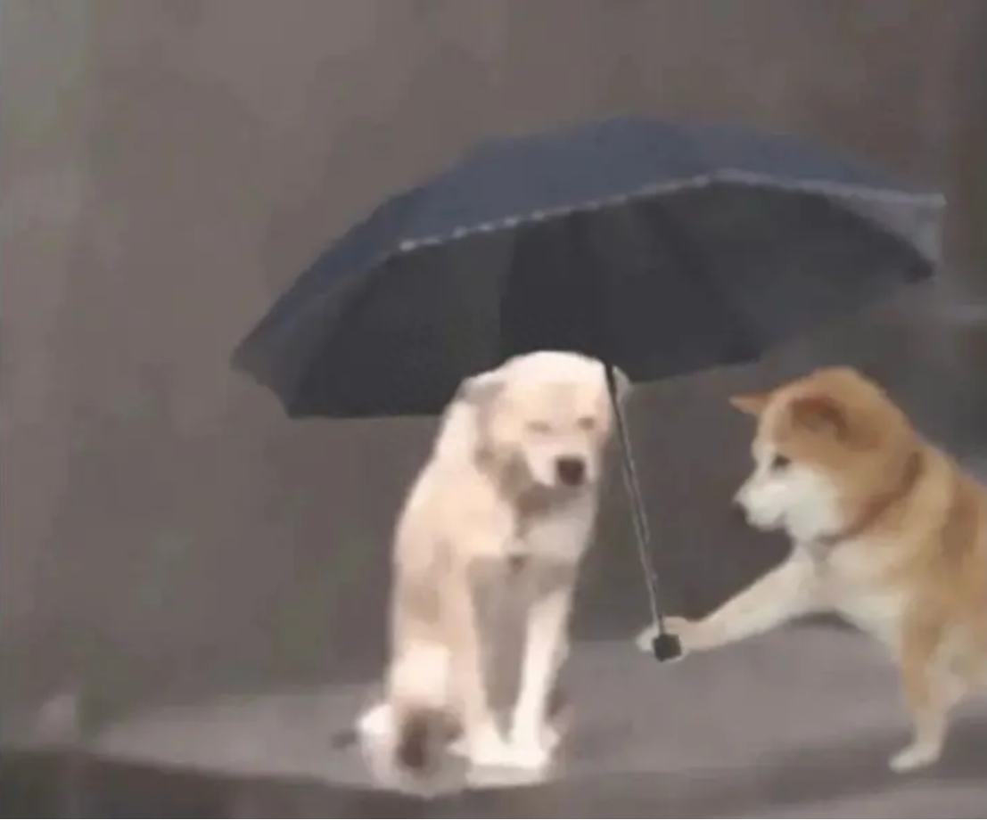 幽默怼人金句：每天进来看一遍，和抑郁烦恼说再见(图2)