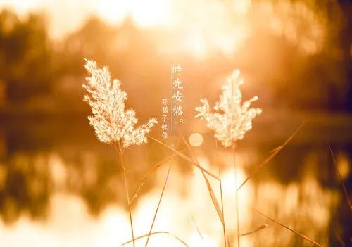 三体体现了什么宇宙人生观？三体经典语录解析(图1)