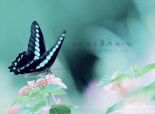 三体体现了什么宇宙人生观？三体经典语录解析(图5)