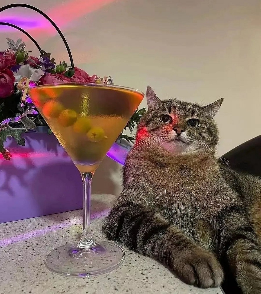 2023喝酒朋友圈文案：以后喝酒就喝酒，别骗我说有帅哥行吗？(图4)