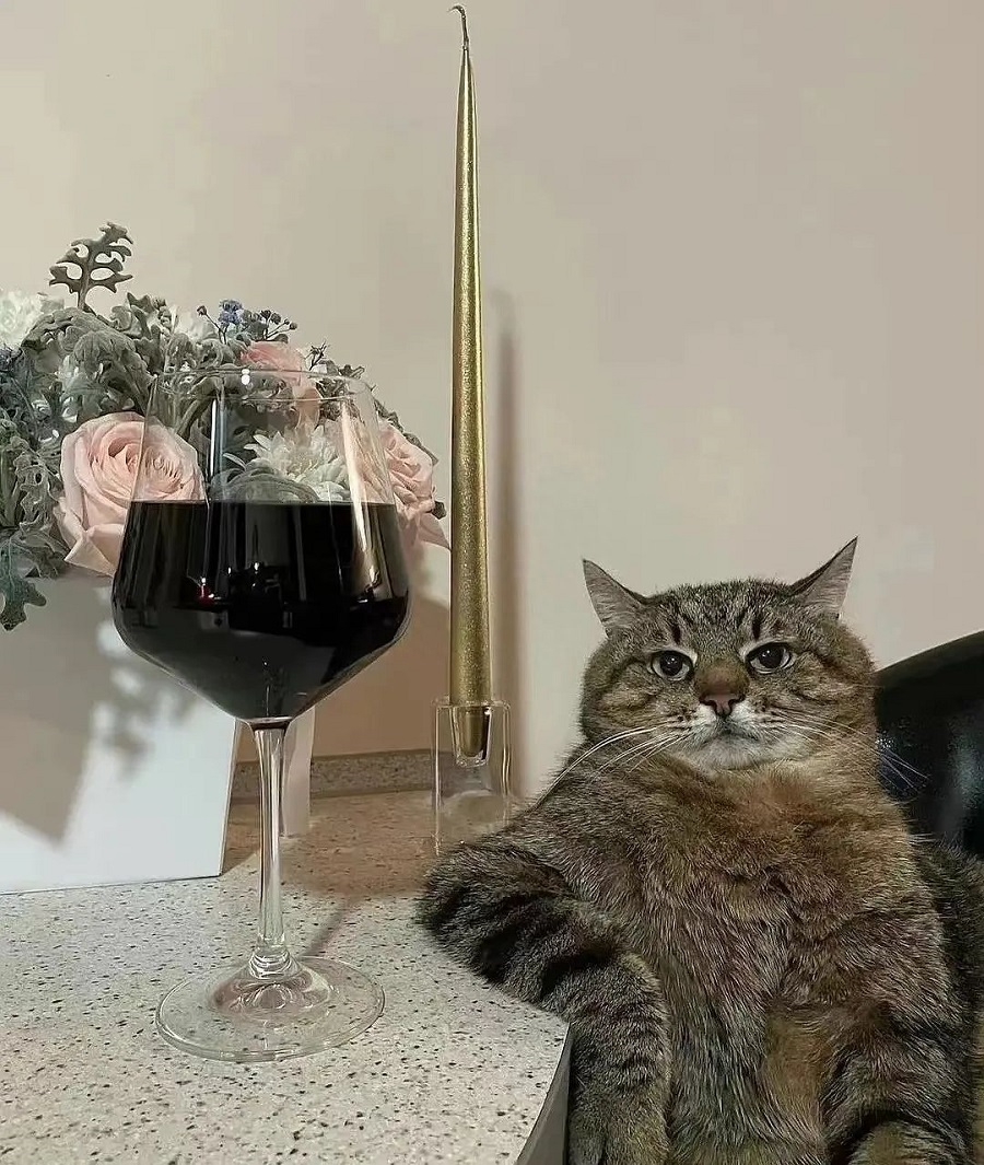 2023喝酒朋友圈文案：以后喝酒就喝酒，别骗我说有帅哥行吗？(图5)