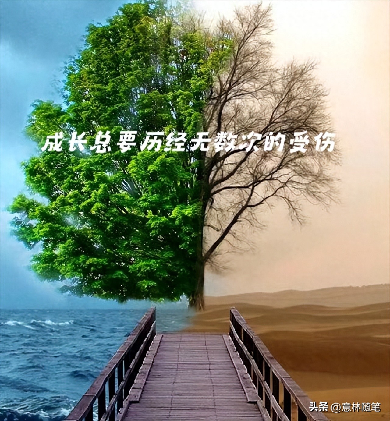 看后瞬间清醒的文案:温柔坚定的说不，心甘情愿的说好(图3)