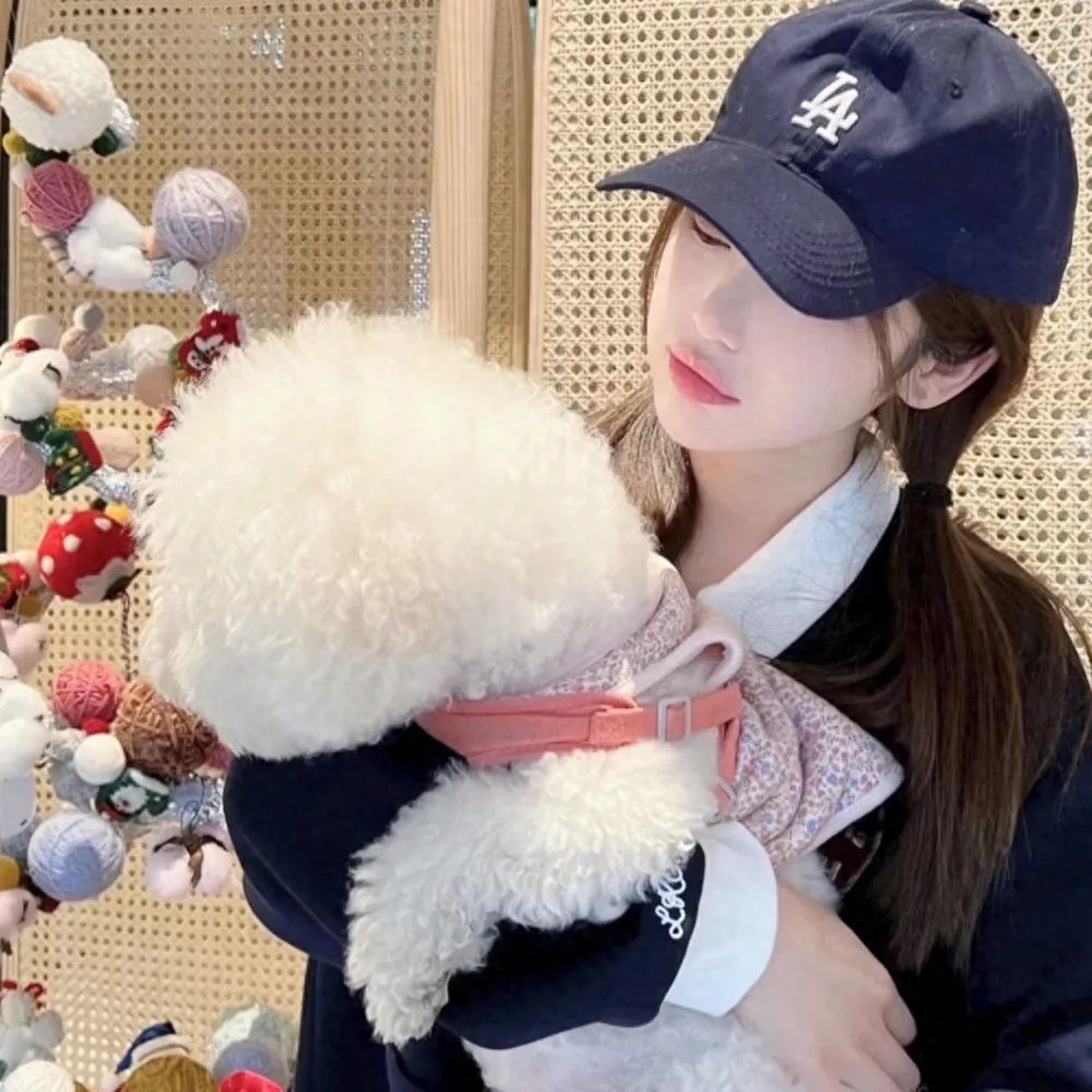 给对象道歉甜甜文案(图2)