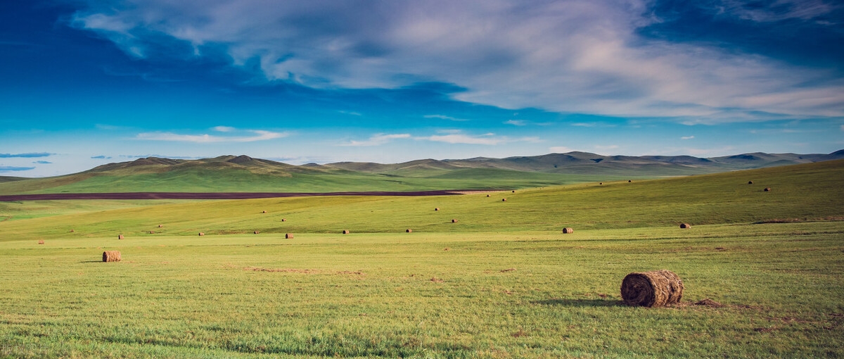 三毛的10句励志名言，说出韧性的力量，让你精神振奋(图3)