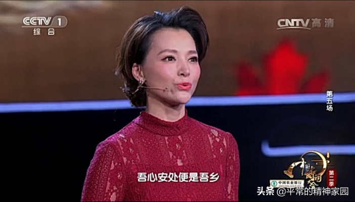 【中国诗词大会第二季】第五场董卿精彩开场：吾心安处，便是吾乡(图1)