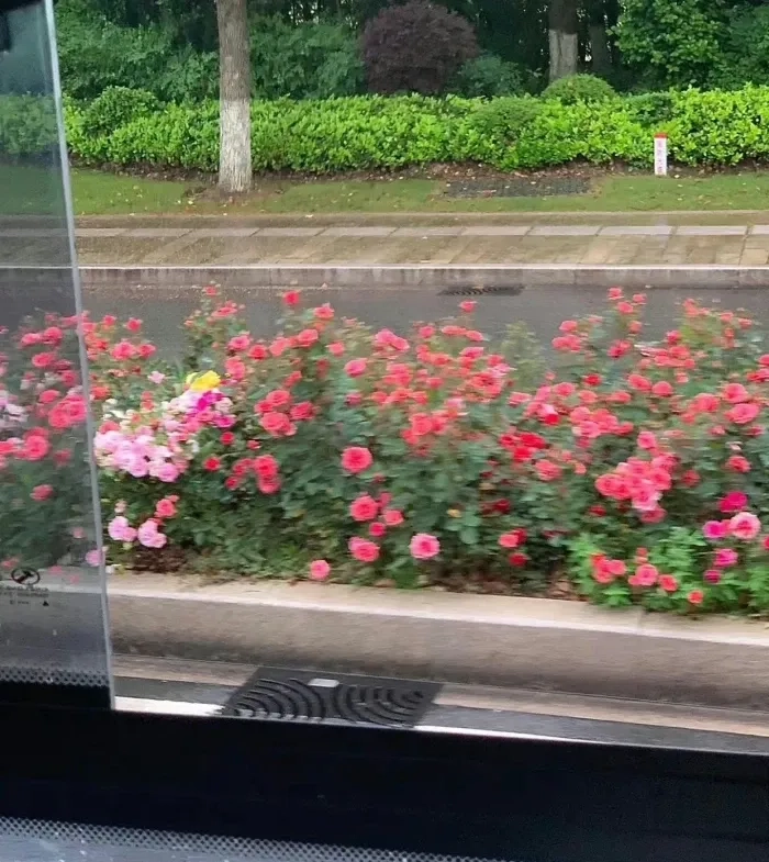 精致女人励志语录，句句经典，很受用！(图1)