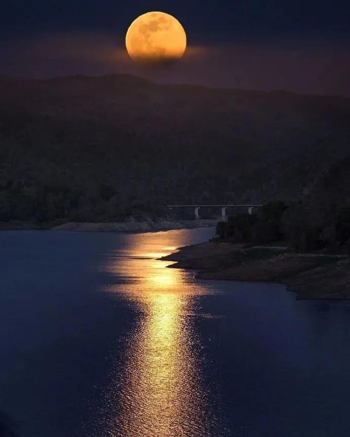 摘抄小句子(图3)